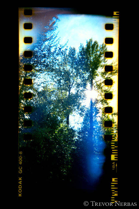 35mm Filmstrip Lens Flare holga 120mm film sprockets