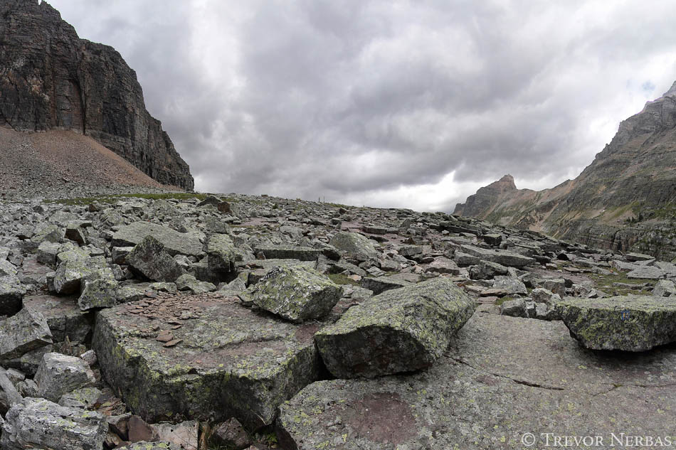 lake o'hara ohara british columbia canada canadian rockies hiking mountain yukness ledges