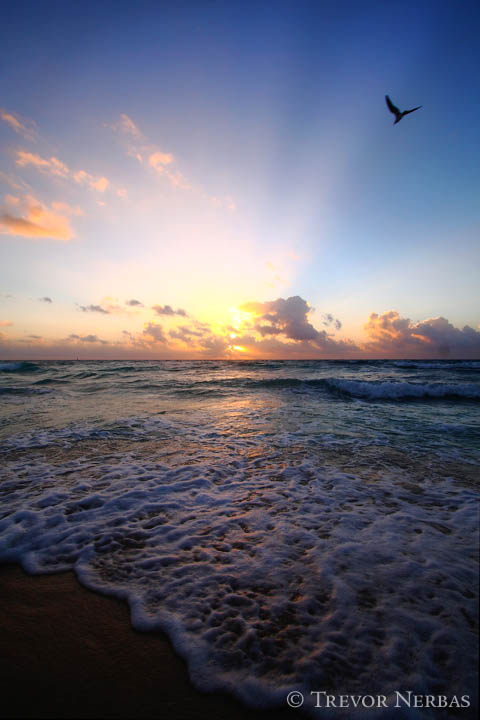 trevor nerbas playa del carmen sunrise salida del sol